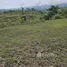  Terreno (Parcela) en venta en Badian, Central Visayas, Badian