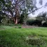  Terreno (Parcela) en venta en Santa Cruz, Guanacaste, Santa Cruz