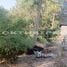  Land for sale in Sai Noi, Nonthaburi, Nong Phrao Ngai, Sai Noi