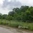  Land for sale in Thalang, Phuket, Si Sunthon, Thalang