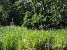  Land for sale in Roatan, Bay Islands, Roatan