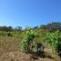  Terreno (Parcela) en venta en Santa Cruz, Guanacaste, Santa Cruz