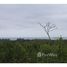  Land for sale in Manglaralto, Santa Elena, Manglaralto