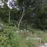  Land for sale in Kamala, Phuket, Kamala, Kathu, Phuket, Thailand