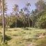  Land for sale in Thailand, Na Mueang, Koh Samui, Surat Thani, Thailand
