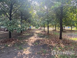 ขายที่ดิน ใน วันยาว, จันทบุรี, วันยาว