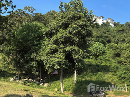 ขายที่ดิน ใน บ่อผุด, สุราษฎร์ธานี, บ่อผุด