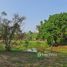  Земельный участок for sale in Huai Sak, Чианг Рай, Huai Sak, Mueang Chiang Rai, Чианг Рай