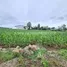  Land for sale in Kan Chu, Phetchabun, Kan Chu, Bueng Sam Phan, Phetchabun, Thailand