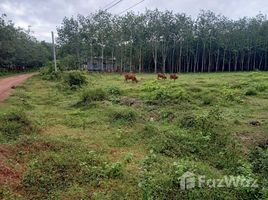 ビン・デュオン で売却中 土地区画, Minh Hoa, Dau Tieng, ビン・デュオン