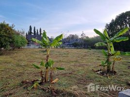  Земельный участок for sale in Pong Ta Long, Pak Chong, Pong Ta Long