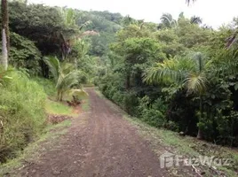  Terrain for sale in Guanacaste, Nicoya, Guanacaste