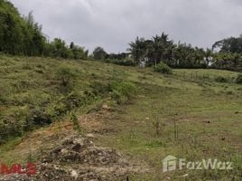  Terrain for sale in Antioquia, Rionegro, Antioquia