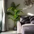 1 Bedroom Apartment for sale at Cassia Residence Phuket, Choeng Thale