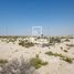  Land for sale at Jebel Ali Hills, 