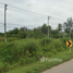  Land for sale in Wang Phong, Pran Buri, Wang Phong