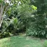  Grundstück zu verkaufen in Thep Krasattri, Phuket, Thep Krasattri, Thalang