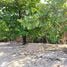  Land for sale in Guanaja Bay Islands, Guanaja, Bay Islands