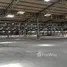  Warehouse for rent in Phrong Maduea, Nakhon Pathom, Phrong Maduea