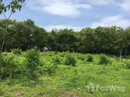  Terreno (Parcela) en venta en Hojancha, Guanacaste, Hojancha