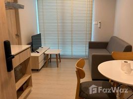 คอนโด 1 ห้องนอน ให้เช่า ในโครงการ นิว โนเบิล ศรีนครินทร์ – ลาซาล, สำโรงเหนือ