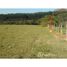  Land for sale in Salto, Salto, Salto