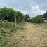  Land for sale in Thailand, Phrommat, Mueang Lop Buri, Lop Buri, Thailand