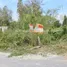  Land for sale in Sai Noi, Nonthaburi, Nong Phrao Ngai, Sai Noi