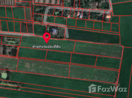  Земельный участок for sale in Singhanat, Lat Bua Luang, Singhanat