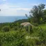  Grundstück zu verkaufen in Koh Phangan, Surat Thani, Koh Tao