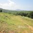  Land for sale in Mai Khao, Thalang, Mai Khao