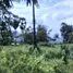  Land for sale in Pak Nam Pran, Hua Hin, Pak Nam Pran, Pran Buri, Prachuap Khiri Khan