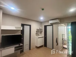 คอนโด 1 ห้องนอน ให้เช่า ในโครงการ วันพลัส สวนดอก 8, สุเทพ
