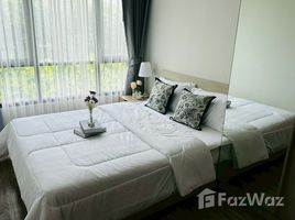 อพาร์ทเม้นท์ 1 ห้องนอน ให้เช่า ในโครงการ เดอะ คอลเลค รัชดา 32, จันทรเกษม