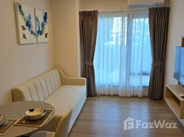 1 Schlafzimmer Appartement zu vermieten im Phyll Phuket by Central Pattana, Wichit