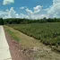  Land for sale in Nong Phlap, Hua Hin, Nong Phlap, Hua Hin, Prachuap Khiri Khan