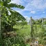  Land for sale in Samrong Nuea, Samut Prakan, Samrong Nuea