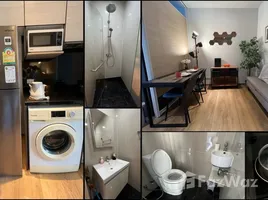 คอนโด 1 ห้องนอน ให้เช่า ในโครงการ พาร์ค ออริจิ้น พร้อมพงษ์, คลองตัน