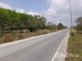 ขายที่ดิน ใน นิคมพัฒนา, ระยอง, นิคมพัฒนา