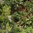  Terreno (Parcela) en venta en Tagaytay City, Calabarzon, Tagaytay City, Cavite