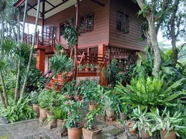Maison 3 chambre à louer à Don Kaeo, Chiang Mai, Don Kaeo, Mae Rim, Chiang Mai, Thaïlande