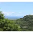  Land for sale in Osa, Puntarenas, Osa