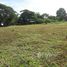 N/A Land for sale in Ton Pao, Chiang Mai Beautiful 50-1-63 Rai Land Plot for Sale in Ton Pao