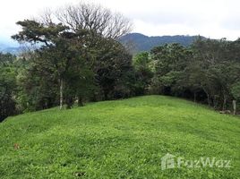 N/A Land for sale in Sora, Panama Oeste SORA, ALTOS DEL MARIA, SANTIAGO APOSTOL, Chame, PanamÃ¡ Oeste