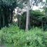  Земельный участок for sale in Phrabat, Lampang, Phrabat