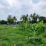  Land for sale in Mueang Chon Buri Chon Buri, Nong Ri