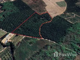 ขายที่ดิน ใน โคกกลอย, พังงา, โคกกลอย, ตะกั่วทุ่ง