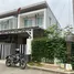 3 chambre Maison de ville à louer à , Chang Khlan, Mueang Chiang Mai, Chiang Mai