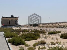  Земельный участок на продажу в Liwan, Al Reem