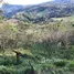  Grundstück zu verkaufen im SAN JOSE, San Jose